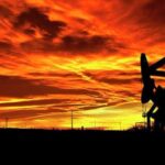 Comité técnico de la OPEP y no OPEP se reunirá el 7 y 8 de agosto en Abu Dabi