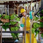 Varela está superando a Bunau Varilla