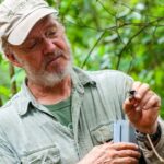 Café y abejas: un nuevo modelo de los efectos del cambio climático