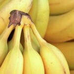 El hongo que amenaza con dejar a las bananas en peligro de extinción