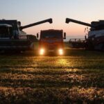 Inevitable: se romperá el récord de cosecha de cereales en Rusia