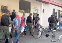 El Tucán y su Escribano