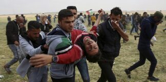 Comunicado de solidaridad con Palestina