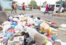 La basura, el agua, la luz y la Jornada