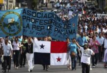 Organizaciones gremiales o la inopia del pensamiento crítico