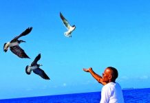 Denuncias sobre la Isla Boná sacuden al Ministerio de Ambiente