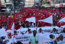 Constituyente: Mercado regulado y corrupción