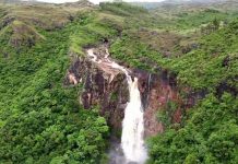 Panamá lanza su Estrategia Nacional de Biodiversidad