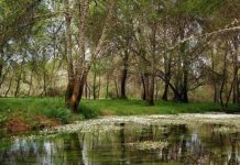 Dieciocho nuevas reservas ingresan en la Red Mundial de Reservas de Biosfera de la UNESCO