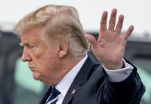 Trump y 2020: Entre el pánico y las guerras étnica