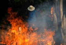 Arde el continente