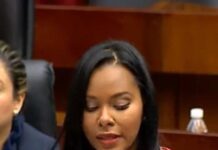 Diputada Independiente presenta Proyecto que declara el 20 de diciembre día de duelo nacional