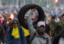 ¿Habrá que poner las bardas en remojo?