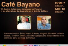 El destino de las áreas bananeras en Panamá y las alternativas de desarrollo en el distrito de Barú