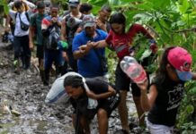 Error garrafal la unión terrestre de Panamá con Colombia a través del Darién