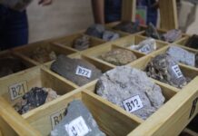 Universidad de Panamá crea la primera Litoteca
