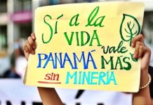 Movimiento Panamá Vale Más Sin Minería exige al gobierno electo la defensa ambiental
