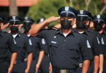 La Fuerza Pública y la política de seguridad pública