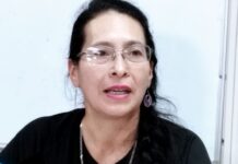 Instan a Canadá a desproteger la minería cielo abierto en Panamá