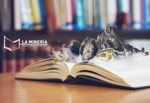 Ambientalistas acusan a First Quantum Minerals de contaminar la Feria del Libro