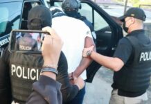 Los gobiernos poseen perspectivas telescópicas y no microscópicas