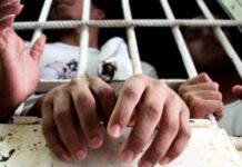 La importancia de la criminología escolar en la prevención