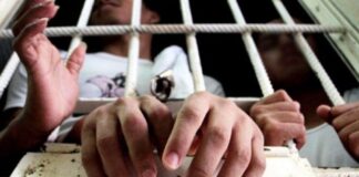 La importancia de la criminología escolar en la prevención