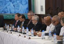 Insumos para el debate de la reforma a la Ley 51 de 2005