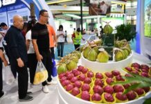 Centro de Innovación Alimentaria Sostenible China-América Latina y el Caribe es inaugurado en Sanya