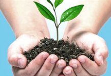 Neo liberalización de la naturaleza y conflictividad ambiental en Panamá