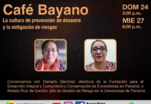 La cultura de prevención de desastres y la gestión de riesgos