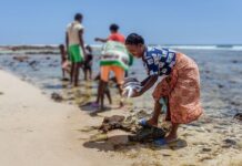 Solo un cambio transformador salvará un planeta en peligro, alerta Ipbes