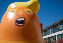 Versos para Donald Trump