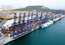 PPC y la desprotección del accionista minoritario