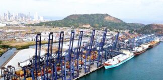 PPC y la desprotección del accionista minoritario