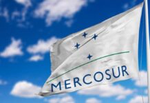 En una economía mundial que cruje ¿Cuál es el rol del MERCOSUR?