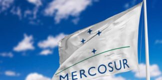 En una economía mundial que cruje ¿Cuál es el rol del MERCOSUR?