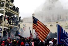 Agresiva águila imperial en caída libre