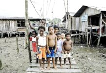 El secuestro de la democracia, los derechos y la soberanía