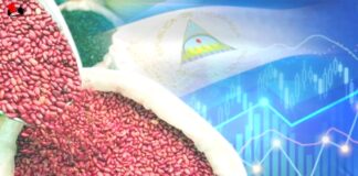 Nicaragua y las claves de su soberanía alimentaria en tiempos de crisis global