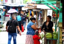 Entendiendo la Fuerza Laboral: PEA y Tasa de Desempleo