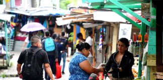 Entendiendo la Fuerza Laboral: PEA y Tasa de Desempleo