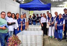 Peces guppy: alternativa biológica para combatir a los mosquitos transmisores de enfermedades