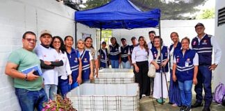 Peces guppy: alternativa biológica para combatir a los mosquitos transmisores de enfermedades