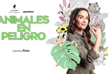 Jóvenes influencers rastrean animales en peligro en Latinoamérica