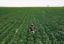 Crecimiento de América Latina será moderado este año según el FMI