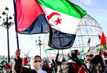 Defensores de la causa saharaui rechazan agresión de EEUU