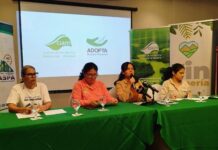 Ambientalistas panameños denuncian acoso judicial