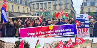 Movilizaciones en ciudades francesas en solidaridad con Cub