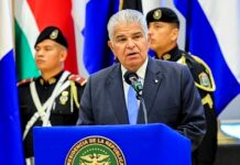 Camino al totalitarismo